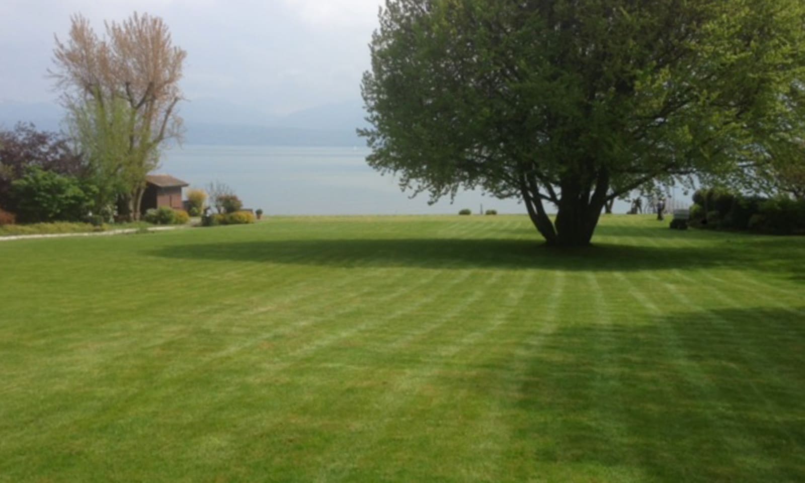 Beau Jardin