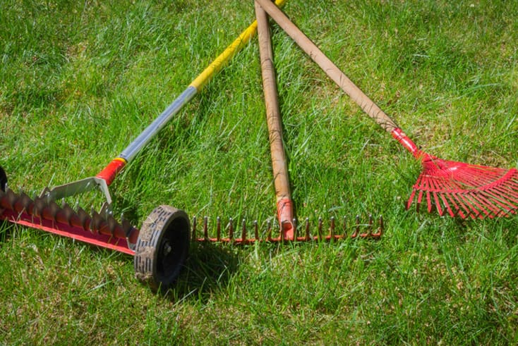 Beau Jardin - Réfection de gazon